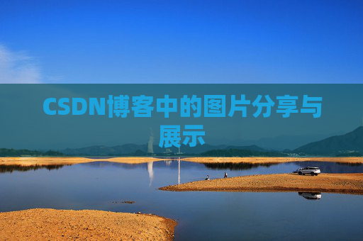 CSDN博客中的图片分享与展示